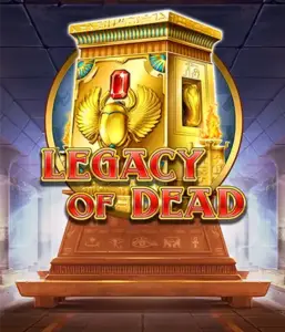 Try  Legacy of Dead slot by Play'n GO featuring free spins and expanding symbols, beginning with bets from $0.10.